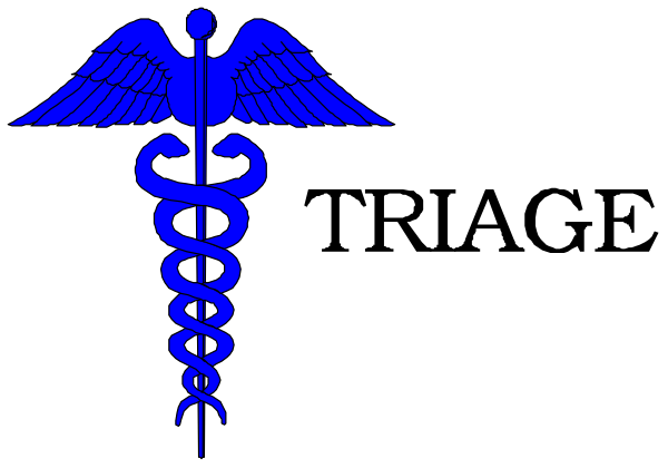 The image shows a blue cross with wings on either side of it against a black background.