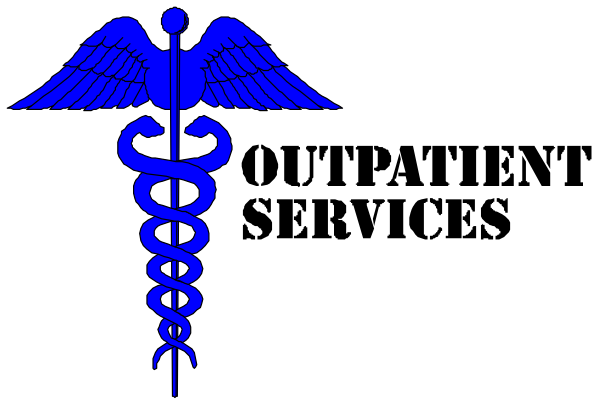 The image shows a black and white graphic of two crossed swords with blue handles on either side, each adorned atop by an eagle's head; in between them is a shield bearing a red cross symbolizing medical aid.