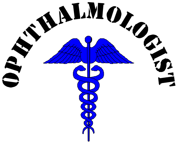 The image shows a stylized depiction of an American flag with a blue eagle on it next to a red cross symbolizing medical aid.