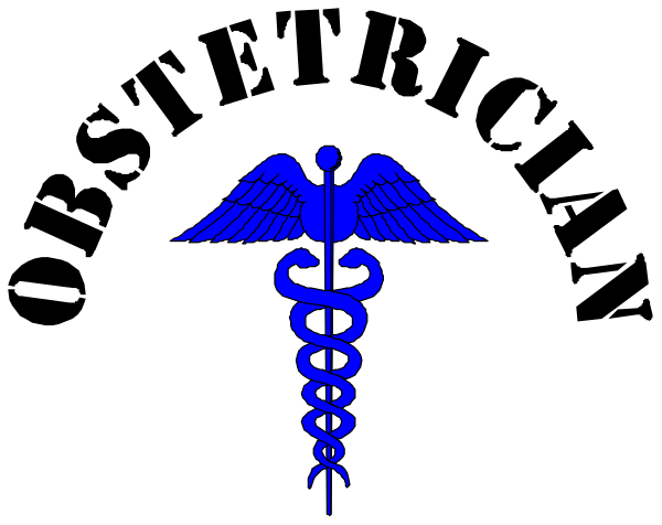 The image shows a stylized representation of an American flag with a blue cross on it atop what appears to be a black background; below this is another smaller depiction featuring a white snake wrapped around a staff, which resembles Rodolphe's serpent from the Garter and Motto.
