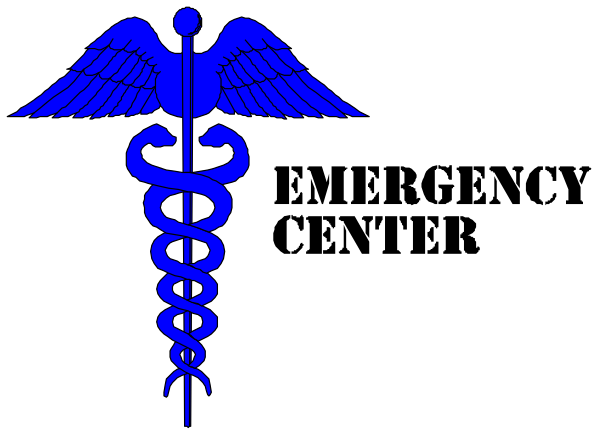 The image shows a black flag with two blue stripes on either side of it; centered within this is an emblem featuring a white cross overlaid wings that resemble those of an eagle, above which there's a snake coiled around itself and holding its tail in its mouth.