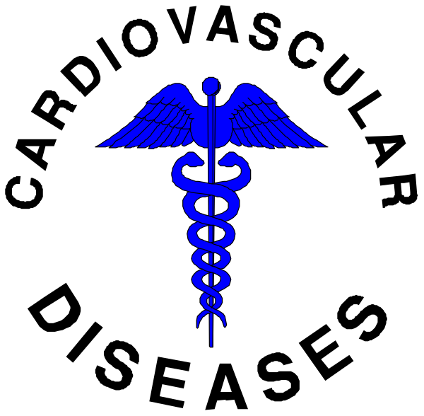 The image shows a stylized depiction of an American flag with a blue medical cross superimposed on it at its center.