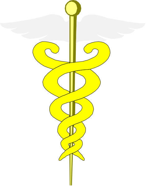 The image shows a stylized depiction of an ambulance with medical cross symbol on top, featuring two snake heads as part of its design; it is black and white in color scheme.
