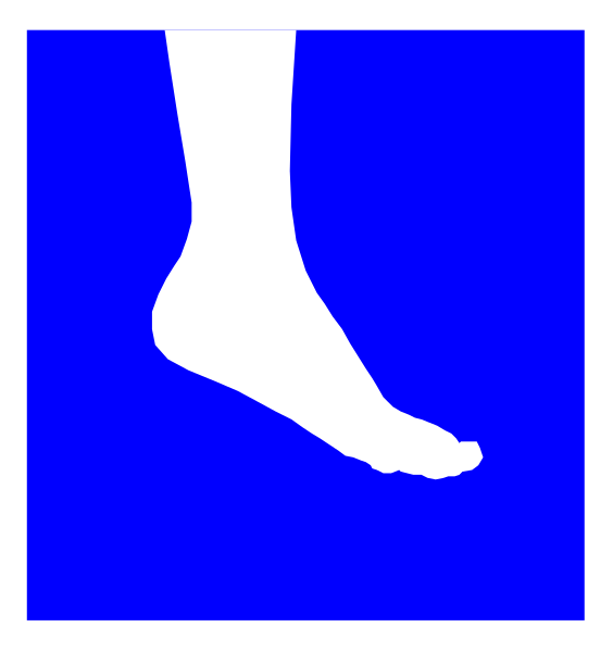 The image shows a blue footprint icon on top of an actual human leg with bare feet inside it against a white background.