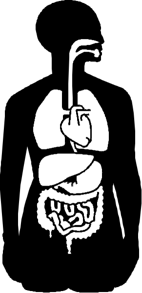 The black and white photo shows a stylized graphic of an umbrella with raindrops on it atop what appears to be a heart-shaped object that could represent lungs or another organ within a human body, suggesting health care themes such as medical equipment or first aid supplies.