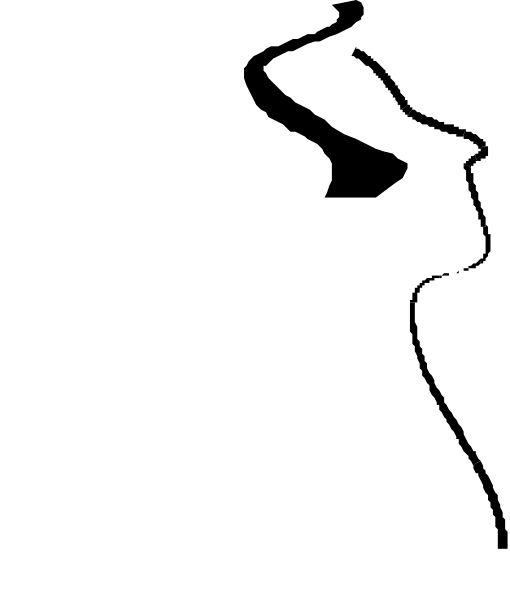 The image shows a black and white striped pattern with no discernible content within it.