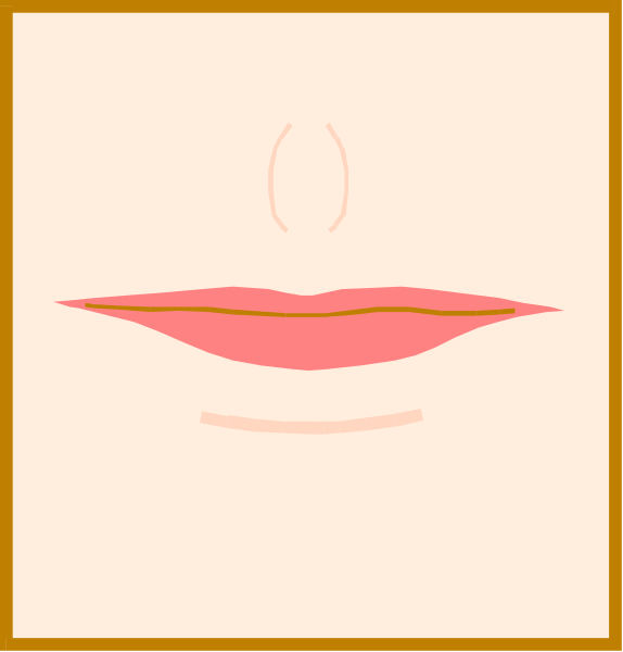 The image shows a closeup of lips with two different shades on each side against an orange background; there is no text present in this clip-art illustration.