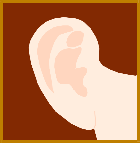 The image shows a closeup of an ear with two distinct halves: on the left side is a detailed view of human skin texture within the inner part of the ear canal; while on the right side appears to be a stylized, simplified representation that lacks detail and color variation compared to its counterpart.