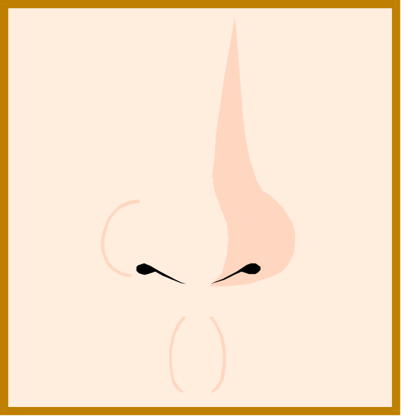 The image shows a cartoon of an exaggeratedly large nose with two nostrils on top against a plain background; it is stylized in black-and-white clipart form without any additional context provided by other elements within this frame, such as characters or settings.