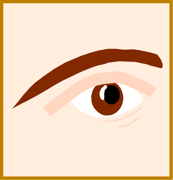 The image shows a closeup of an eye with bushy eyebrows against a plain background on the left side; there is no other content in this clip-art illustration.