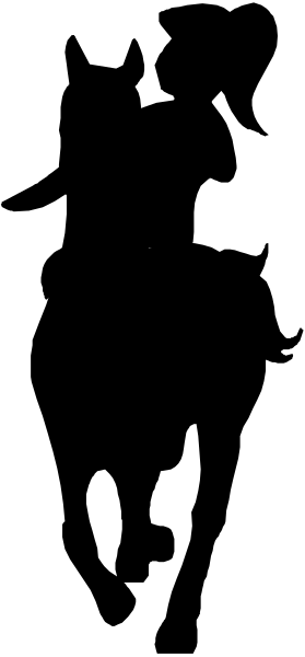The image shows a black and white photo of an object with two distinct sections: on top is darker than bottom; both have horizontal lines across them.