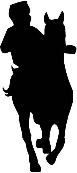 The image shows a black and white striped pattern with an abstract figure that appears to be standing upright on its right side in the center of two vertical lines.