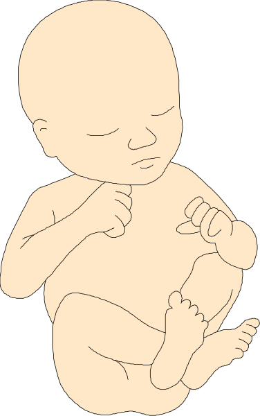 The black and white illustration shows a baby lying down with its legs crossed over itself inside what appears to be an incubator in a hospital room.