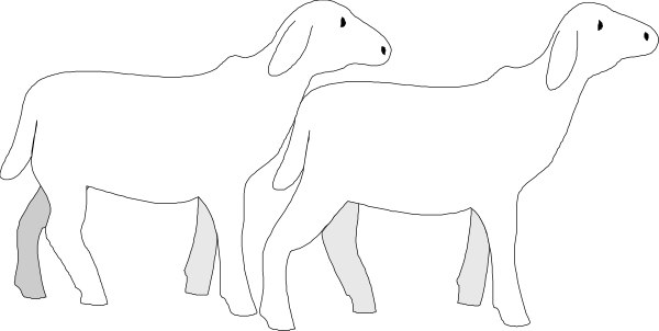 The black and white silhouette of three sheep walking side by side with a shepherd dog following behind them on their left in an outdoor rural environment.