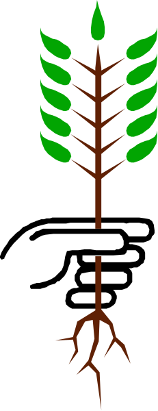 The image shows a tree with roots on its left side growing out of what appears to be soil against a gray background.