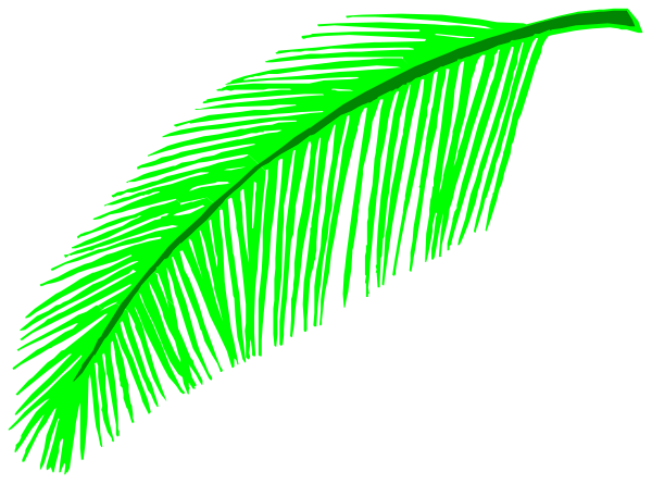 The image shows two green palm leaves against a black background with white outlines of their shapes.