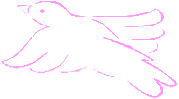 The image shows a pink bird flying against a black background with white wings.
