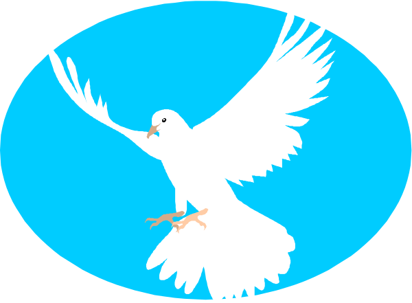 The image shows a white dove with outstretched wings flying over two blue circles against a light background.