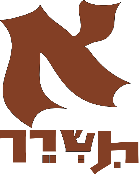 The logo of a company with an emblem that resembles a shield on top featuring two crossed swords and below it is Hebrew text reading "נית" which translates to 'nation' in English, suggesting this could be related to Israel or Jewish culture.