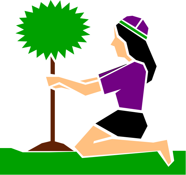 The illustration shows a person sitting on their knees with an outstretched arm towards a tree sapling planted from seed in front of them.