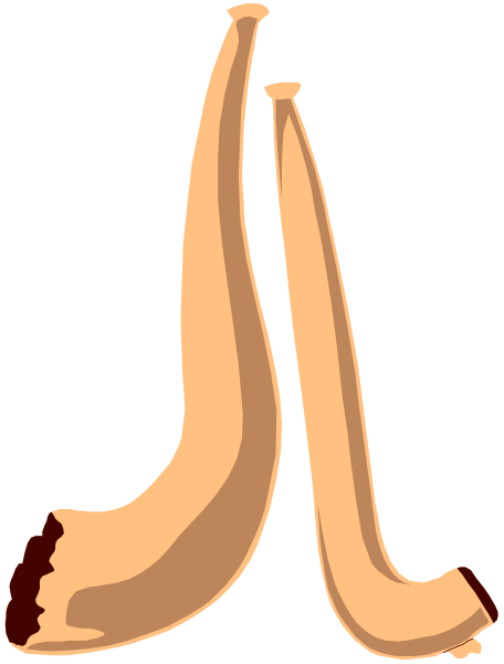 The image shows a pair of crossed bananas with two ears of corn on top against an unseen background.