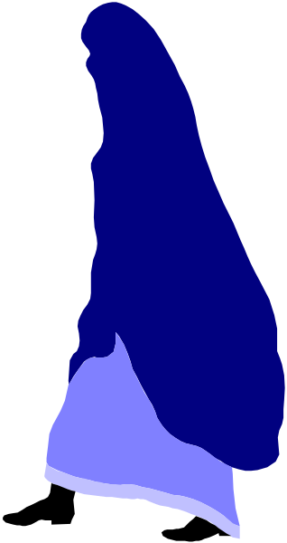 The image shows a blue silhouette of an object against a black background with white lines creating patterns around it.