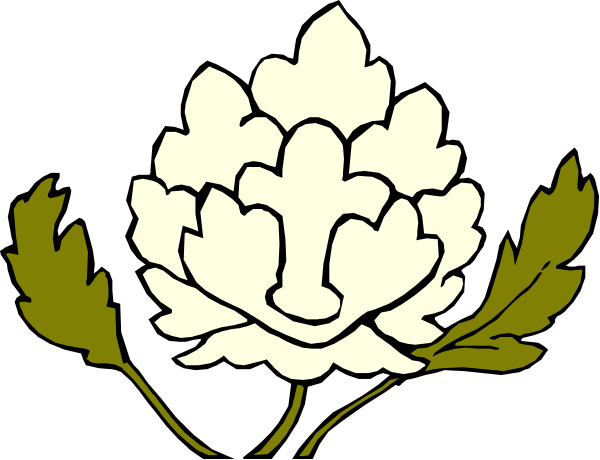 The image shows a white flower with green leaves on it against a black background.