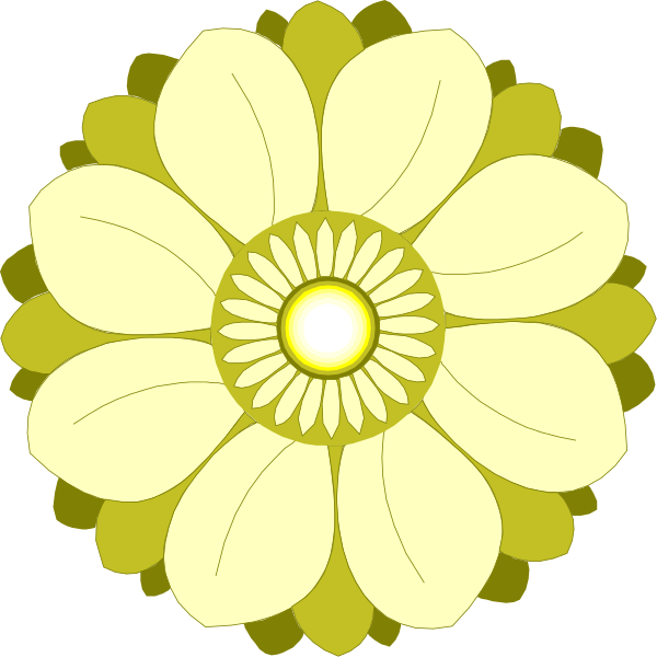 The image shows a yellow flower with white petals centered around an orange centerpiece that has six segments radiating from it to form its shape.