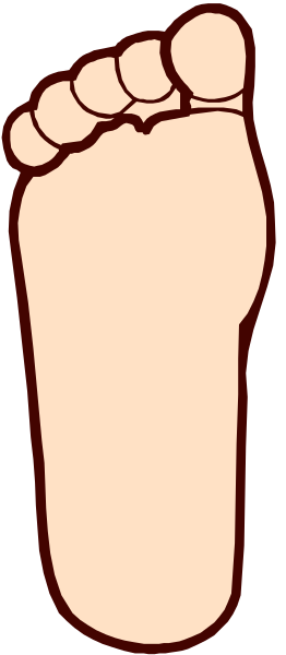 The image shows a single foot with toes inside of it against a white background.