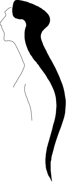 The image shows a black and white striped pattern with no distinguishable content within it.