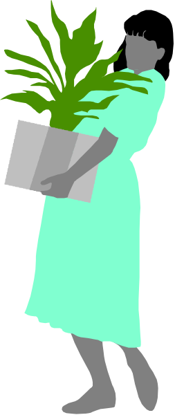 The image shows a person carrying plants outdoors at nighttime with no visible textures on their clothing to indicate weather conditions like rain or snow.