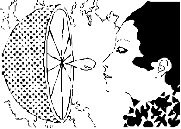 The black and white image shows a compass rose with cardinal directions labeled N E S W at its four points of orientation; it is set against an indistinct background that does not provide any additional context about location, time, people, animals, actions, or setting beyond what has been described above.