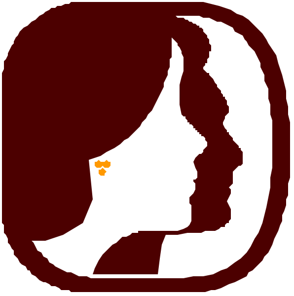 The image shows a split screen with two different halves of an icon that appears to be related to health care services:

1) On the left side is a close-up view of what seems like a stylized human head, possibly representing female gender due to hairstyle and facial features. There's no text or additional details provided in this half. The style suggests it could represent an app icon for health care services targeting women.
2) On the right side is another close-up view of what appears to be a stylized human head, but with different