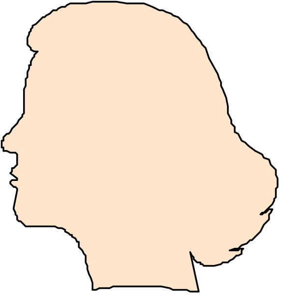 The images show a side profile of an adult female head with hair on both sides from two different angles: 1) front view looking to her right; 2) back view facing forward. There is no additional context provided in this image, so it's not possible for me to describe the setting or any actions taking place within these images. The focus of each frame is solely on presenting a side profile head silhouette from different angles without providing details about other objects or people present in an imaginary scene that might be suggested by such descriptions.