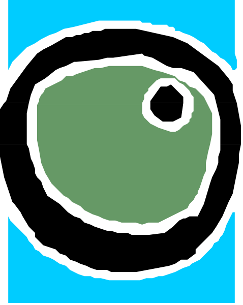 The image shows a pixelated representation of an eye with eyelashes on it inside what appears to be a blue circle against a gray background.