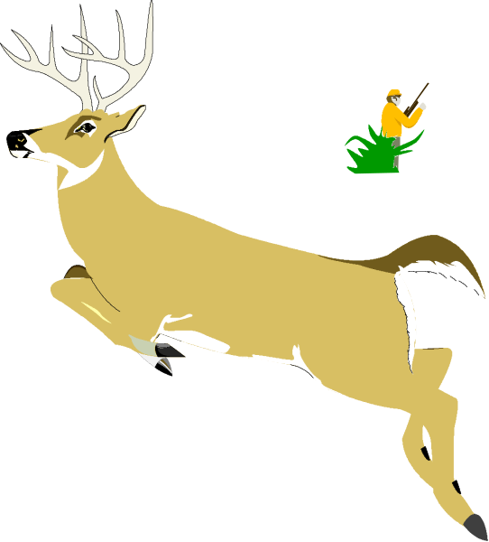 The image shows a cartoon deer with antlers running to its right on what appears to be grassy terrain against a dark background; there is also an animated bird flying above it in mid-flight towards the left side of the frame, and below them both, two small plants or flowers are visible.