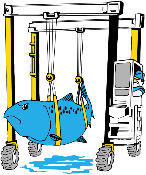 The illustration shows a blue fish hanging from hooks inside an open truck bed with its tail sticking out of the back window; there is no visible human activity in this image.