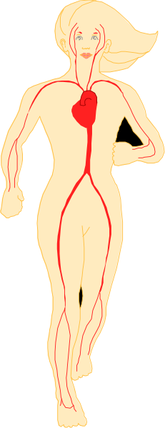 The image shows a stylized illustration of an athletic figure with red lines indicating muscles on its body; it is walking to the right against a black background that has white stripes running vertically downward, giving the impression of movement and speed.