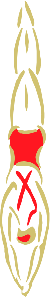 The image shows a closeup of an object with two red dots on it against a gray background; there is no text present in this clip-art image.