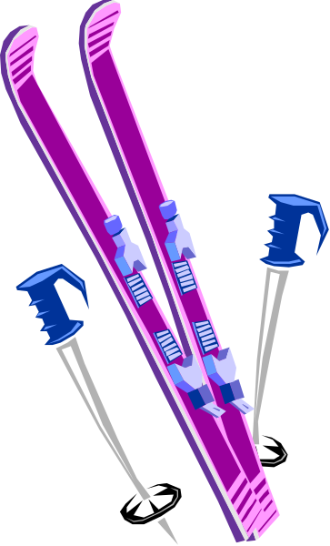The image shows a set of four purple skis with blue bindings placed vertically against each other on what appears to be a gray surface.