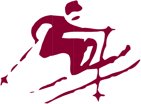 The image shows a logo with text that reads "50" accompanied by an abstract design resembling a person riding on skis in mid-air against a red background.