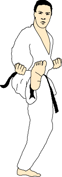 The black and white illustration shows a person dressed as Bruce Lee performing martial arts poses with his arms crossed over chest while standing in front of an upright figure that appears to be another man wearing a suit, both set against a dark background.