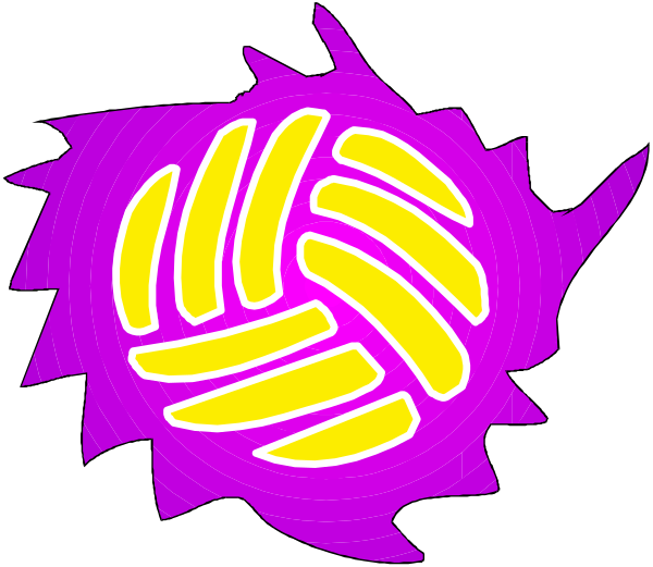 The image shows a purple volleyball with yellow lines on it against a black background.