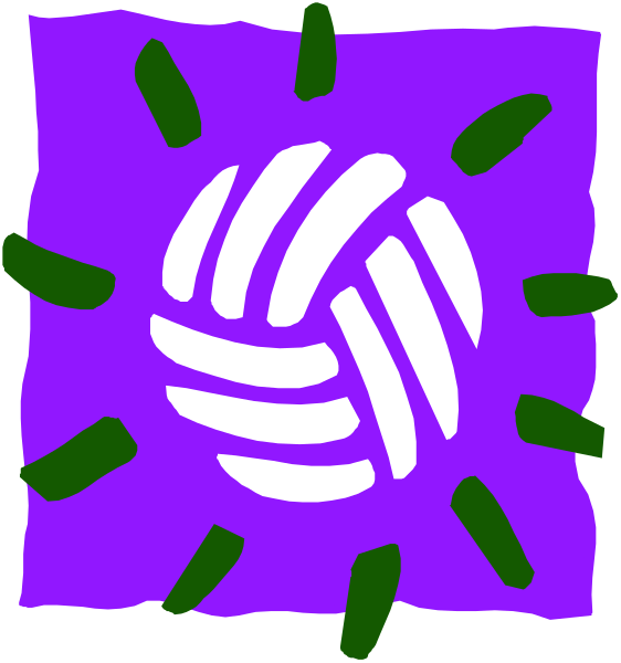The image shows a purple volleyball with white lines representing its netting inside an abstract green border that resembles leaves on either side of it against a black background.