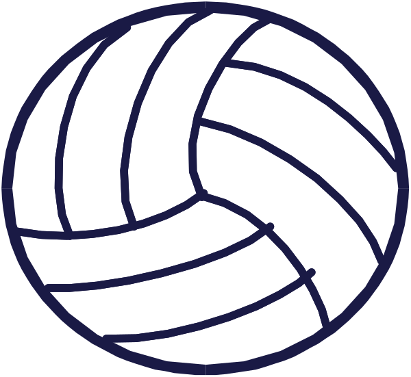 The image shows two volleyballs with a white background.