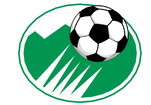The image shows a soccer ball with black lines representing its panels next to an emblem that includes what appears to be two crossed hockey sticks in white on top of each other within a green circle outlined by a thin blue line, all set against a gray background.