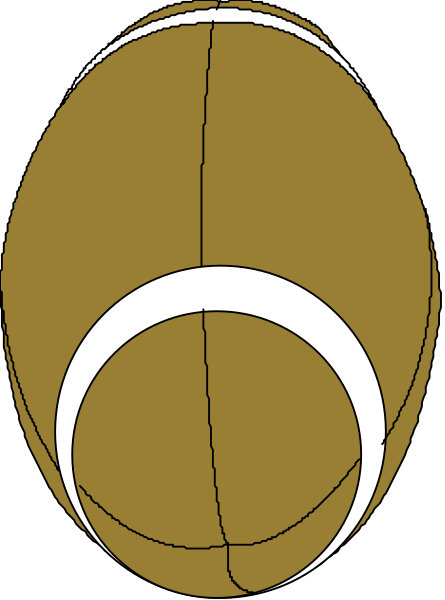 The image shows a cartoon depiction of an egg with two eyes drawn on it to resemble a face, placed against a plain background that is divided diagonally by color lines into four quadrants: one gray and three white.