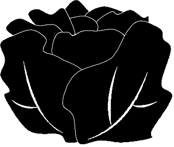 The black and white logo features a flower with petals that resemble leaves on either side of it.