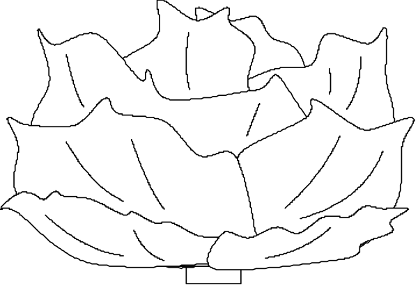 The black and white illustration shows a stylized flower with multiple petals radiating from its center to form an intricate pattern around it; there is no text present in this image.