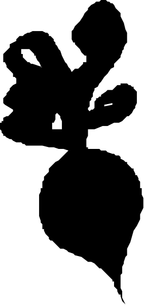 The image shows a closeup of an object with multiple sections that appear to be digitally altered for artistic effect; it's difficult to discern specific details due to distortion and lack of context.